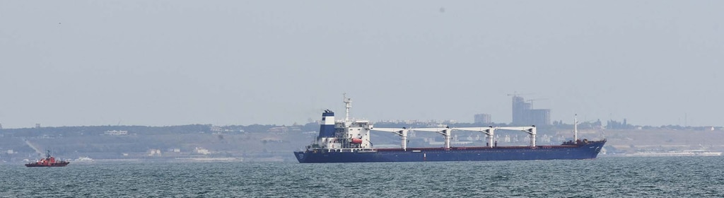 Crise alimentaire mondiale - le cargo Razoni a quitté le port d'Odessa